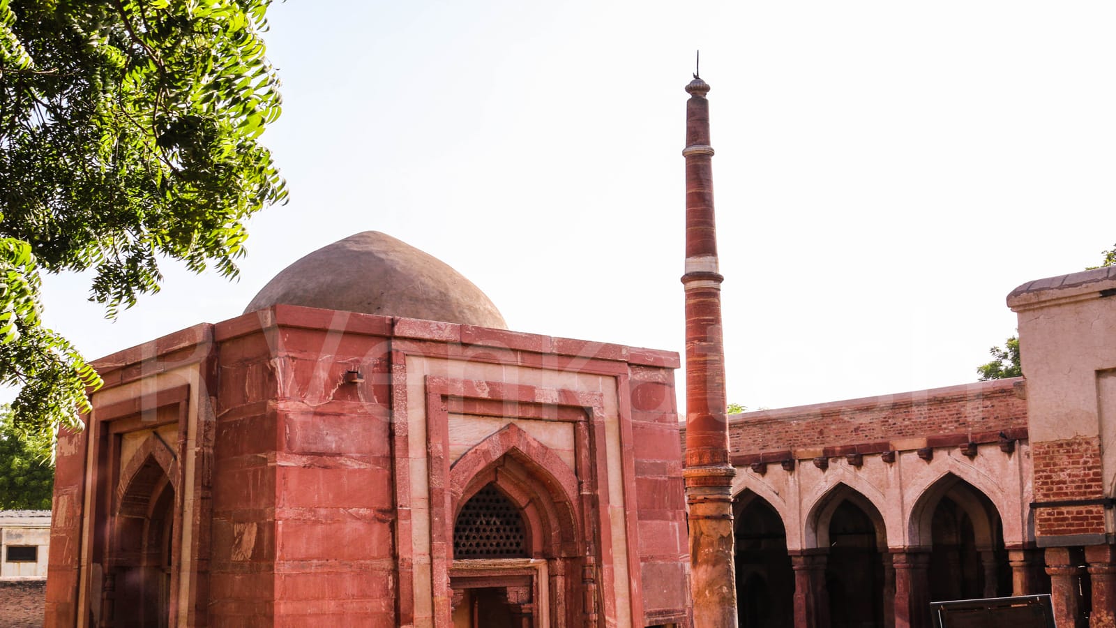 Schools in Hisar