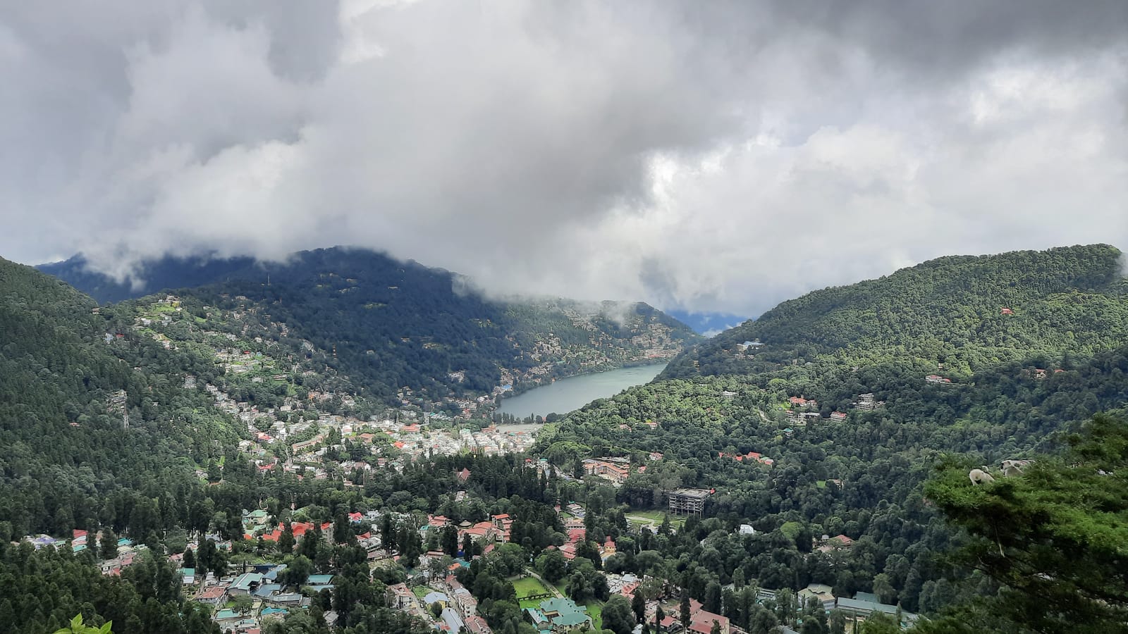 Schools in Nainital