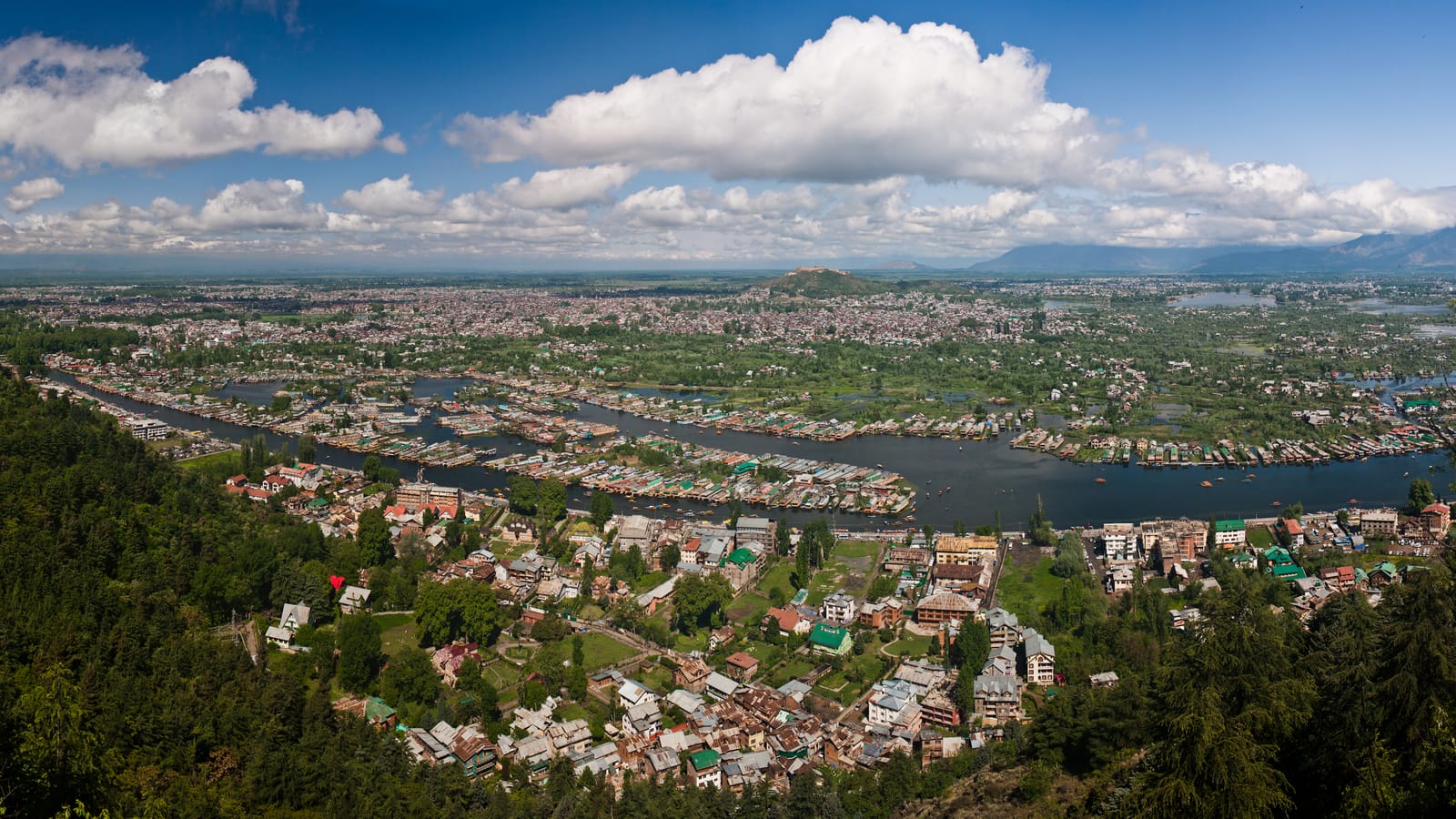 Schools in Srinagar