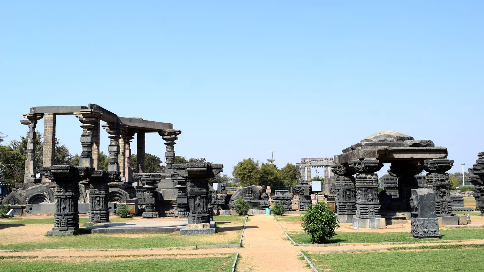 Schools in Warangal