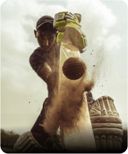 Cricket representative image