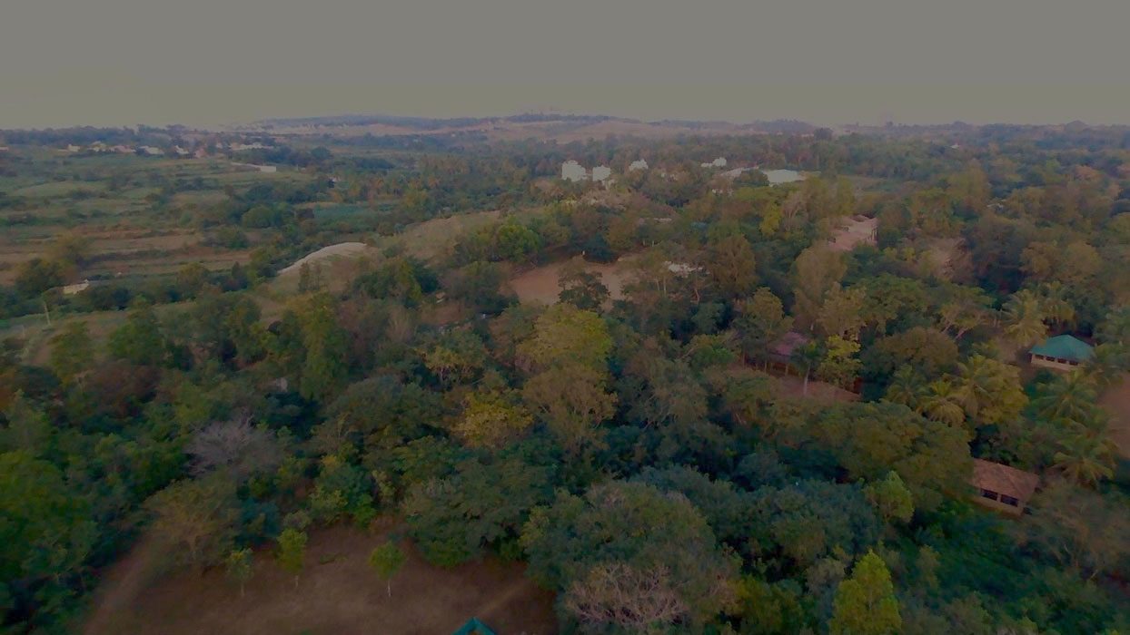 The Valley School (Krishnamurti Foundation India), Kanakapura Road photo