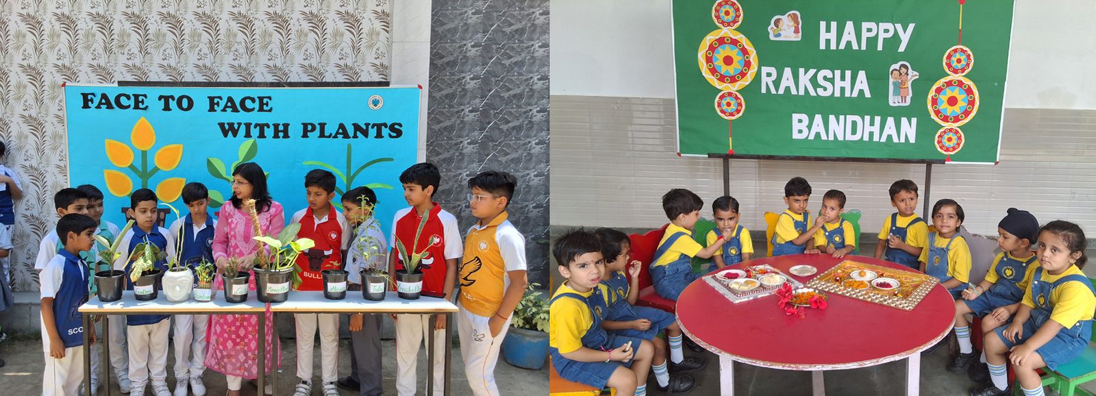 Springbird School, Sonipat campus photo