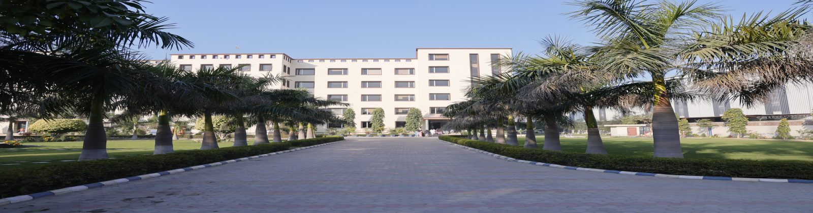 Golden Harrier School, Jakholi, Sonepat photo