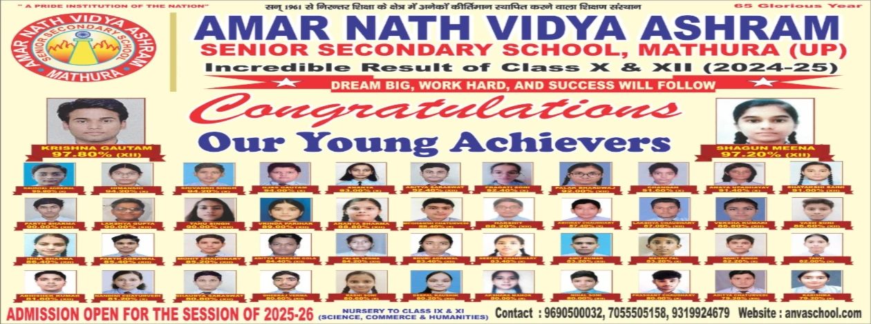 Amar Nath Vidya Ashram Senior Secondary School photo