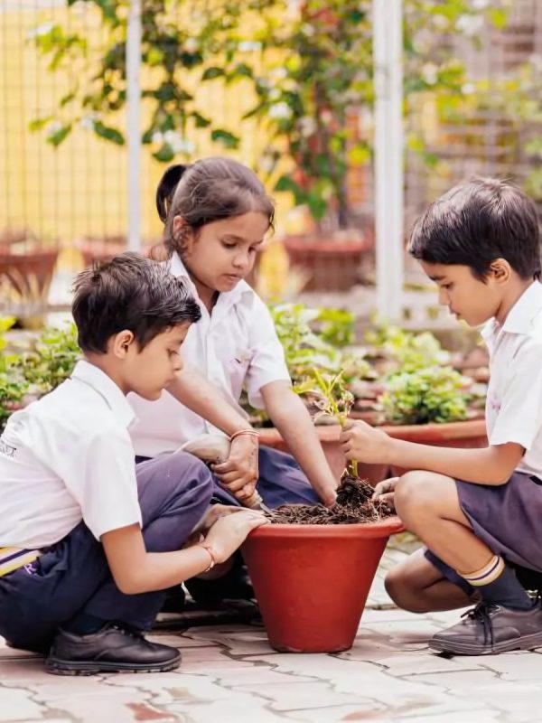 Seth M.R. Jaipuria School, Rooma Campus photo