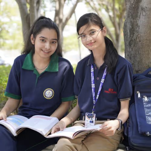 IES Public School photo