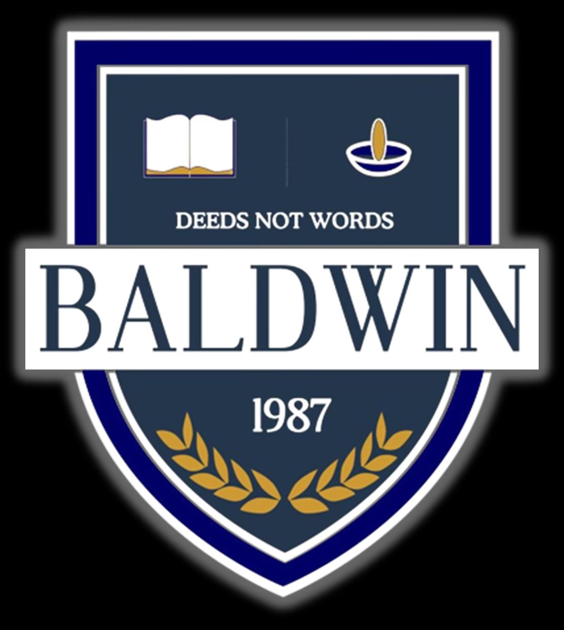 Baldwin Academy, Patna