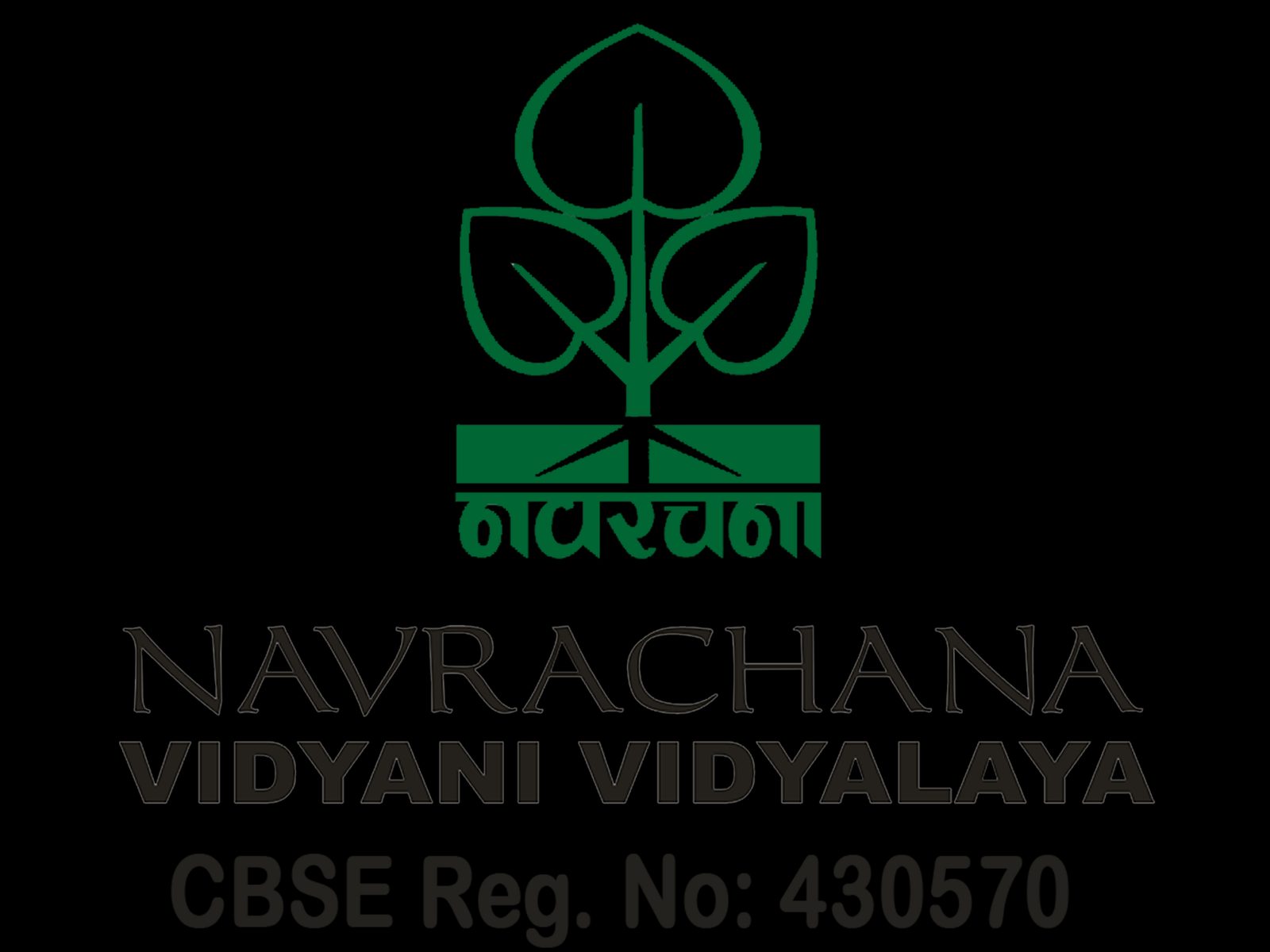 Navrachana Vidyani Vidyalaya campus photo