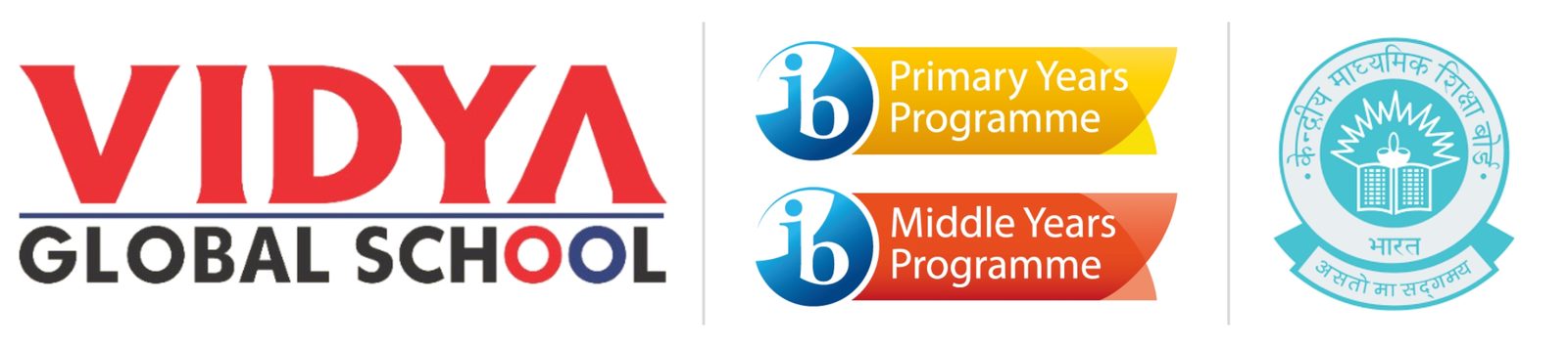 Vidya Global School