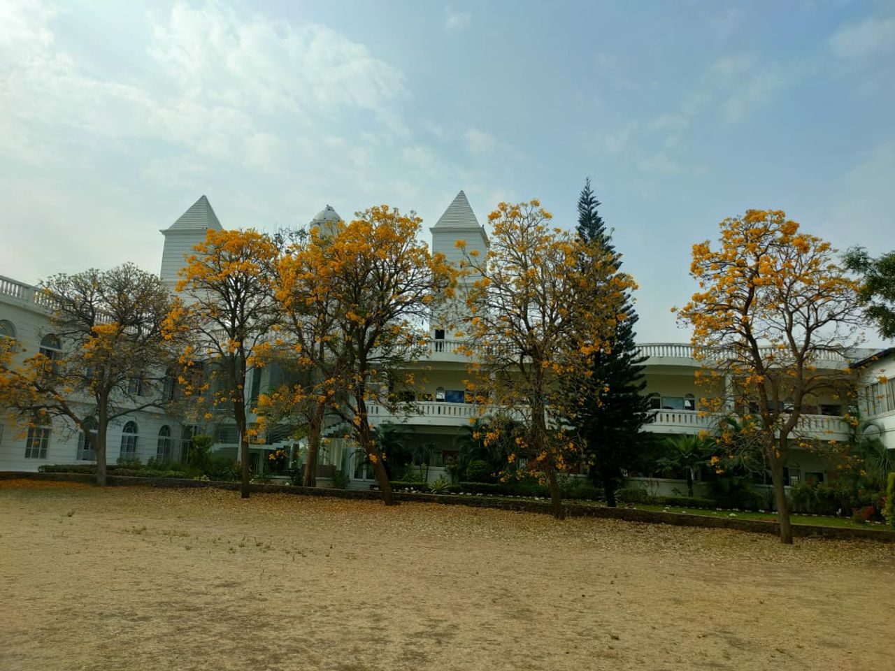 School Image