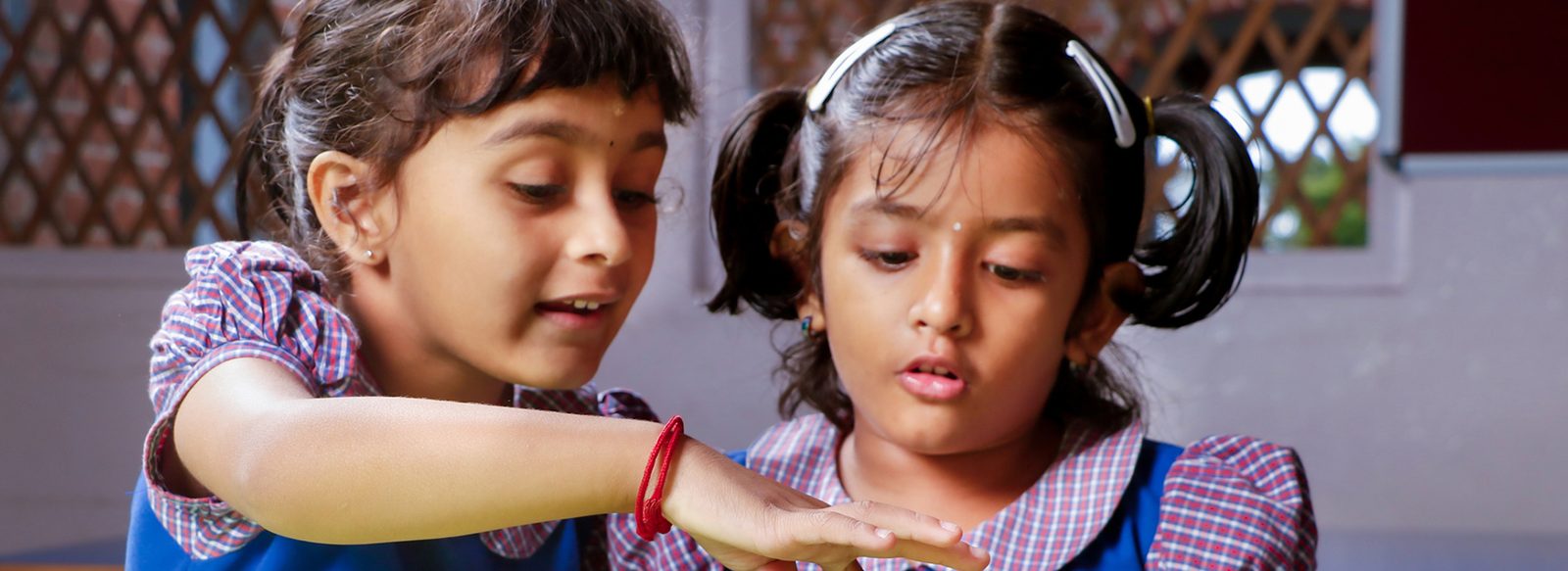Vidhya Niketan School photo