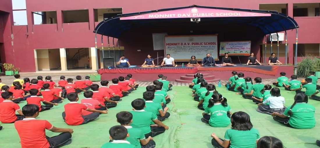 Monnet DAV Public School photo