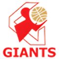 Giants English Medium School