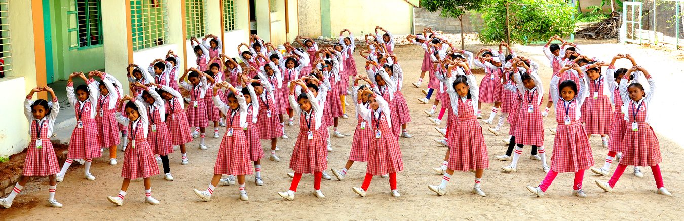 Holy Angels' Matric Hr. Sec. School photo