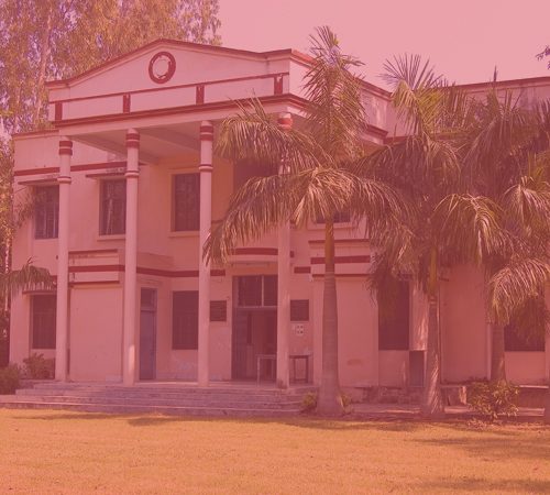 Vikas Bharti School photo