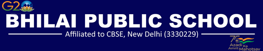 Bhilai Public School