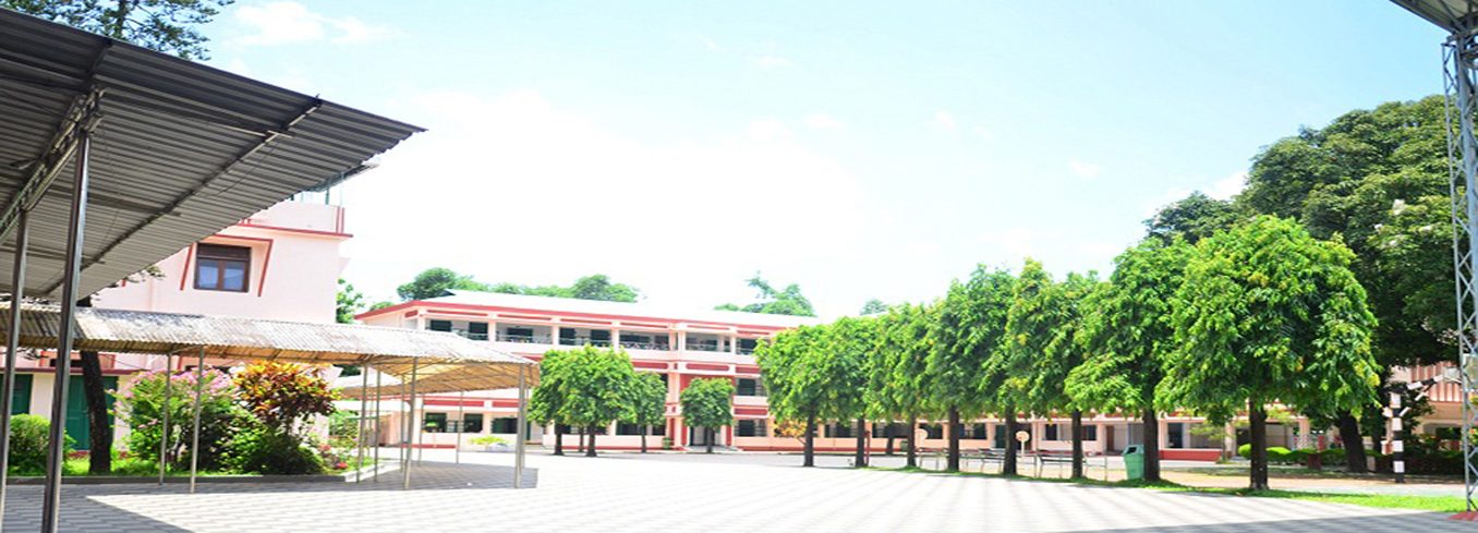 St. Joseph's High School, Matigara photo
