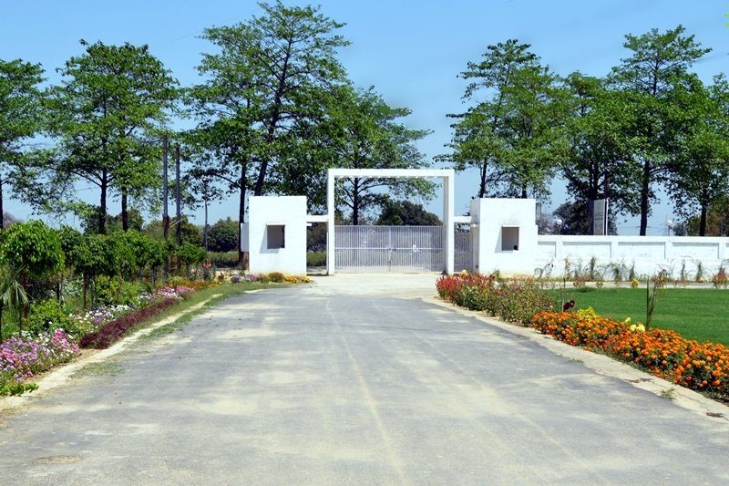 Laurels International School campus photo