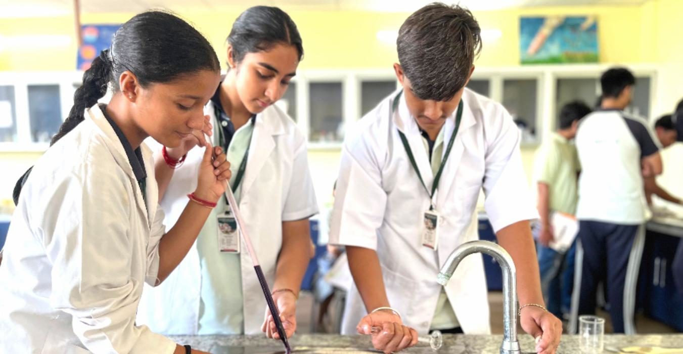 Stalwarts World School campus photo