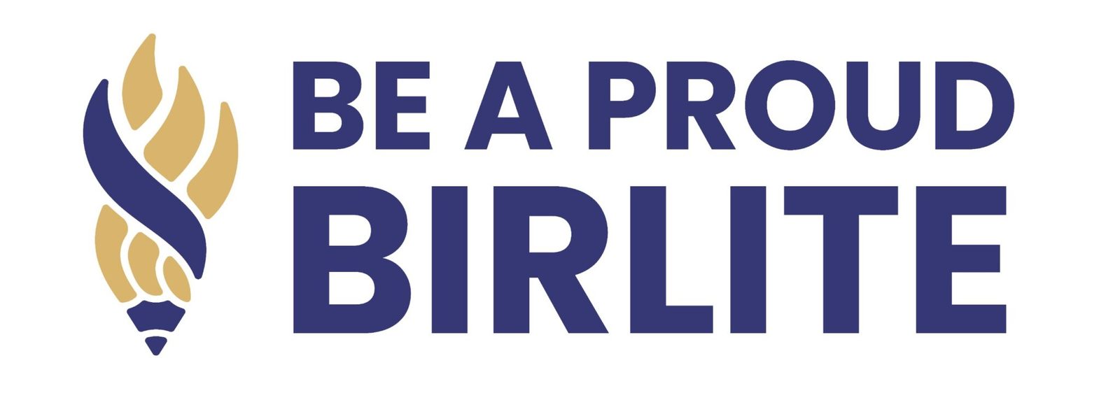 Birla International School campus photo