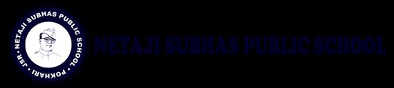 Netaji Subhas Public School